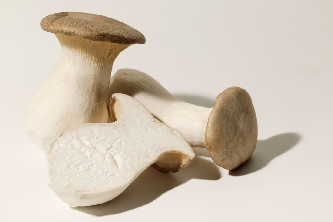 Champignon Eryngii Vrac BE 2KG BIO