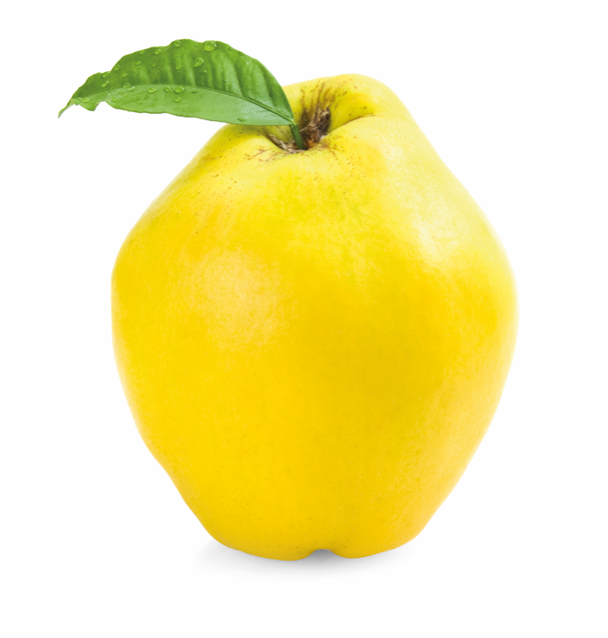 Kweepeer BE 5KG BIO