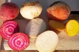 Biet Multicolor FR 4KG BIO