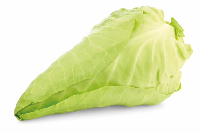 Chou Pointu IT 8KG BIO