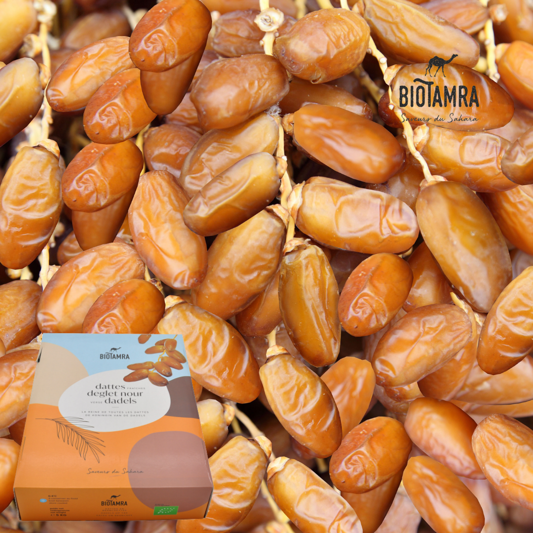 Dadel BioTamra Deglet Nour barquette 250g 12ST BIO