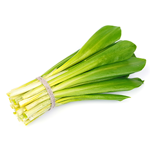 Knoflook wild FR Per 6 Builtjes BIO