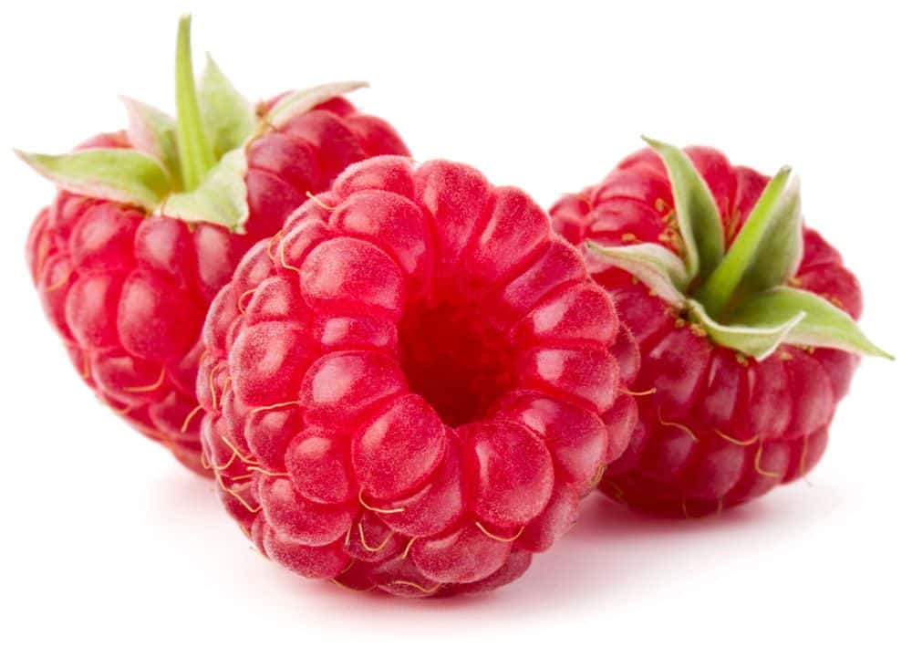 Framboos Bakje van 125g ES 8ST BIO