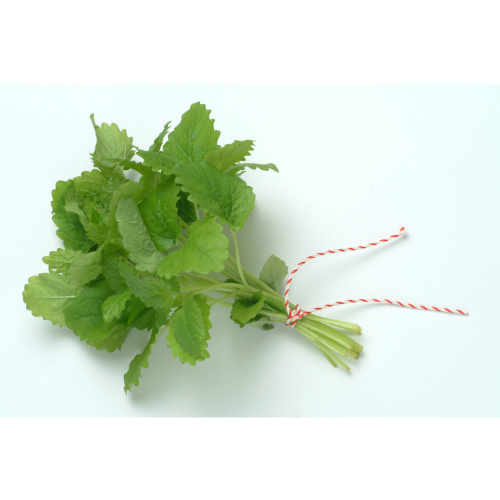 Melisse Botte 10PC BE (Citronnelle) 10ST BIO