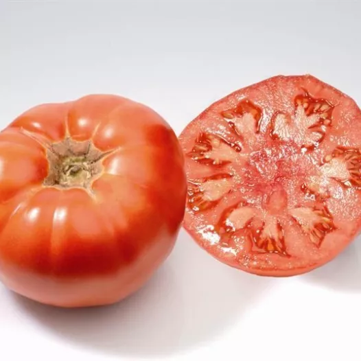 Tomate Ancienne Marmande FR 5KG CAT1 BIO