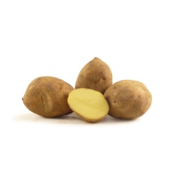 Aaardappel Agila BE papieren zak 2 Kg 6ST CAT1 BIO