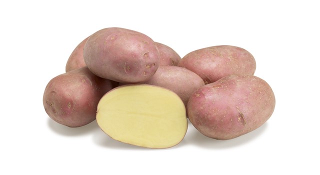 Aardappel Alouette BE (Rood) 15KG CAT1 BIO