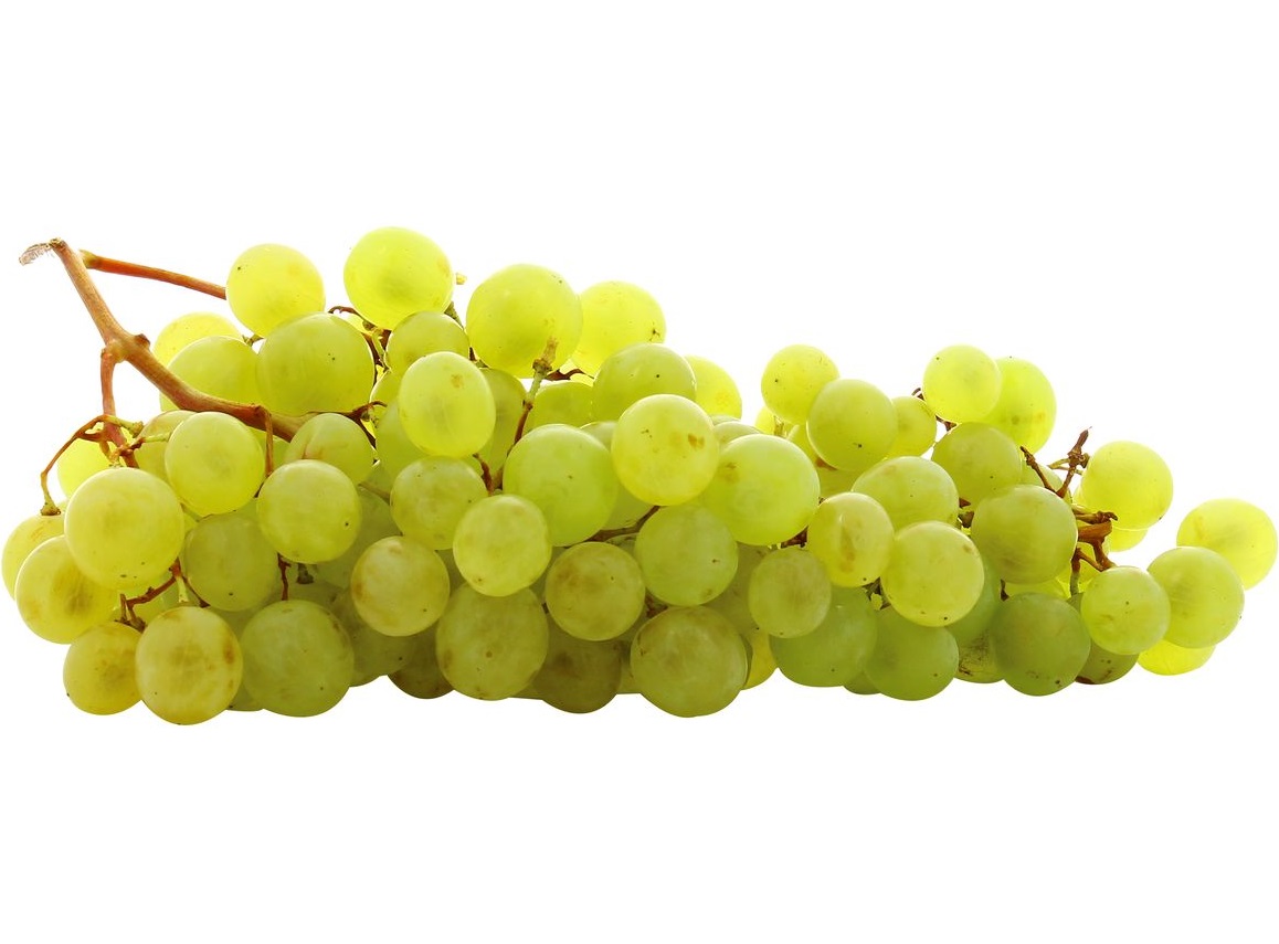 Raisin Blanc Italia IT EPS 6KG CAT1 BIO