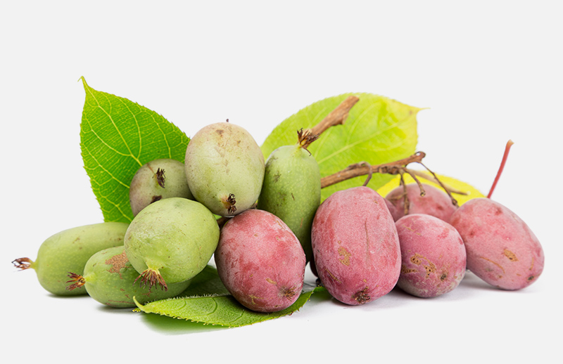 Kiwibes bakje 125g BE 12ST CAT1 BIO