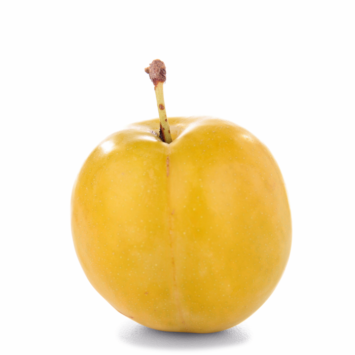 Prune Mirabelle FR 5KG CAT1 BIO
