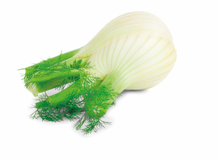 Venkel NL 5KG CAT1 BIO