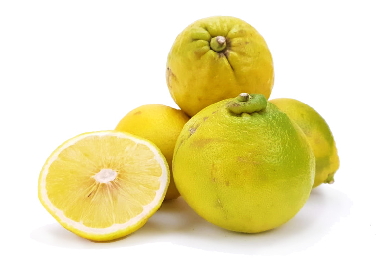 Citron Bergamote IT 6KG CAT1 BIO