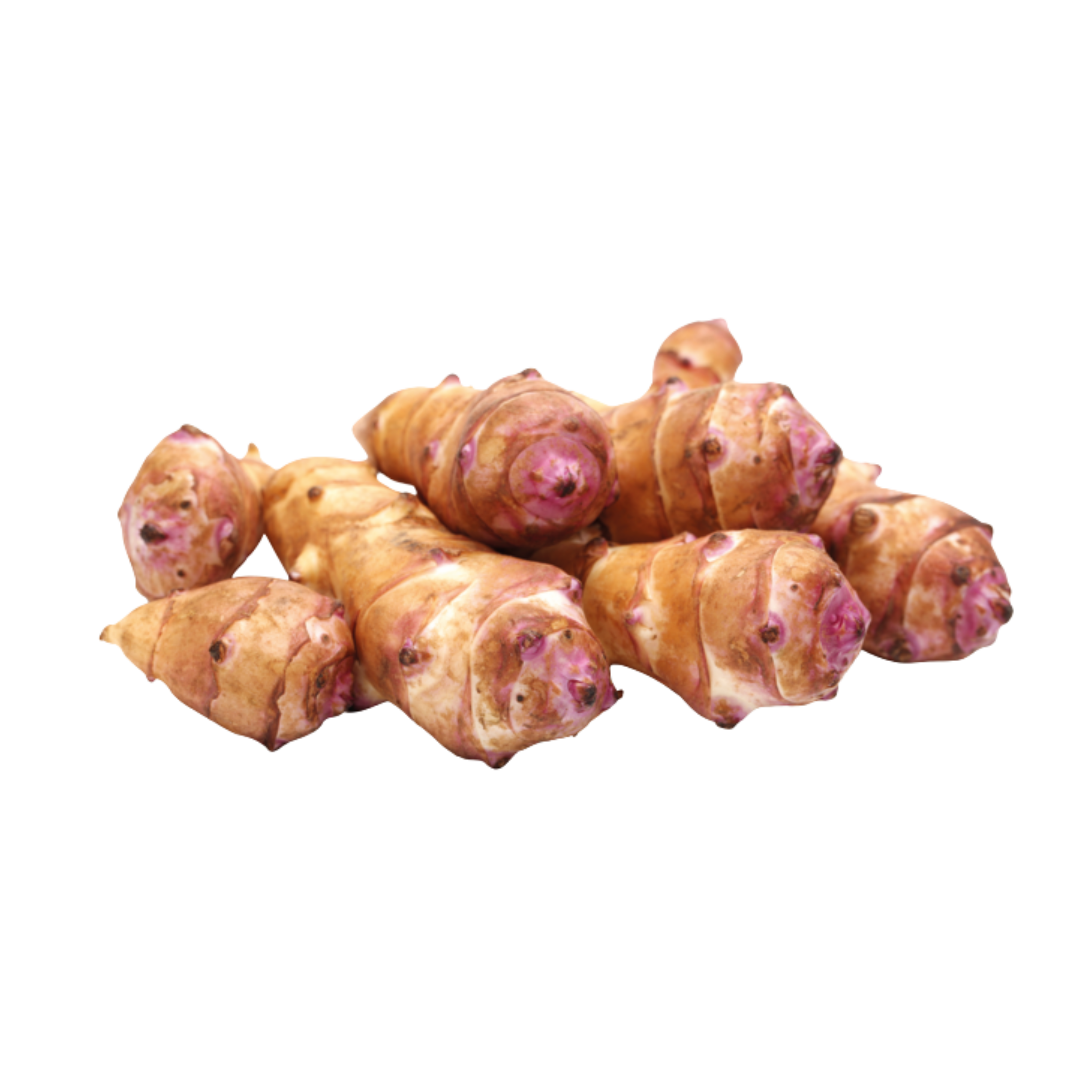 Topinambour NL 5KG CAT1 BIO