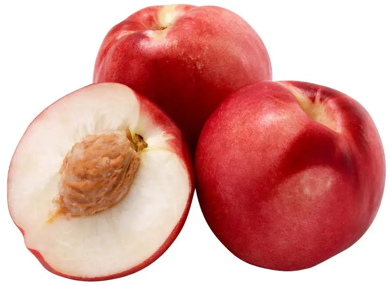 Nectarine Wit ESP 4,4KG BIO