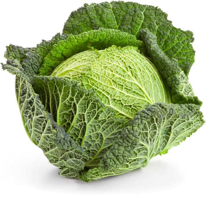 Chou Vert de Savoie IT 8ST BIO