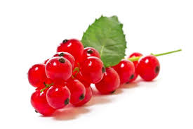 Aalbes Rood Bakje 125g BE 8ST BIO