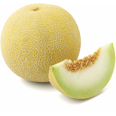 Meloen Galia 7 à 8ST ES 5KG BIO