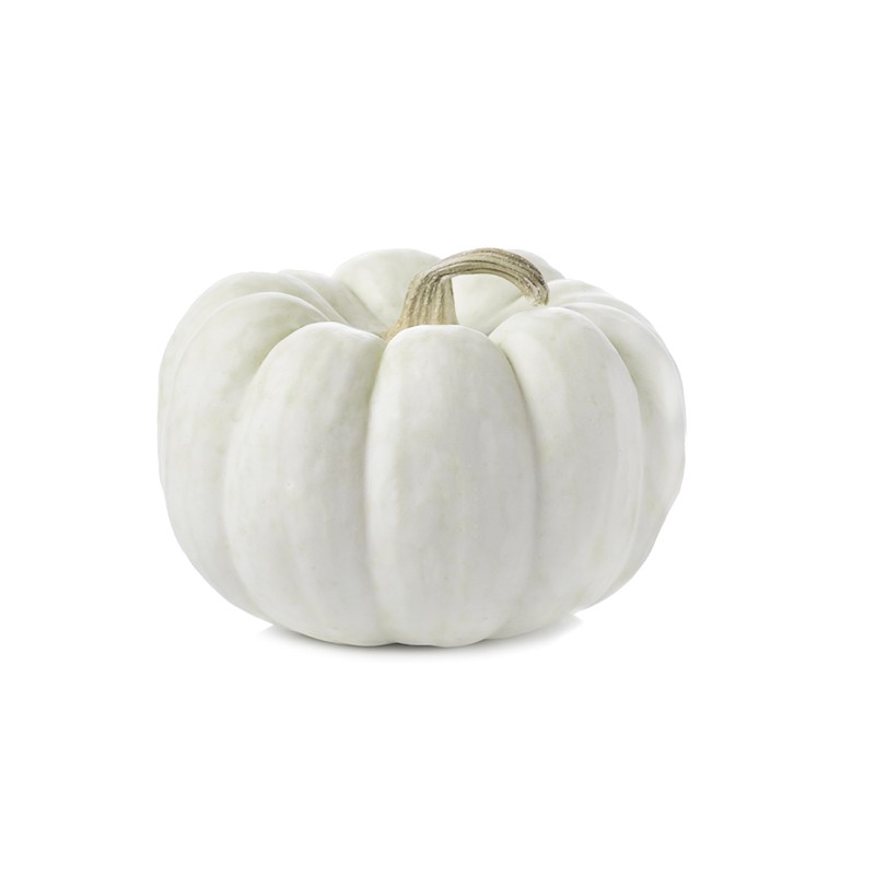 Pompoen Baby Boo BE 4KG BIO