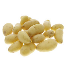 Aardappel Kriel Agila BE 5KG BIO