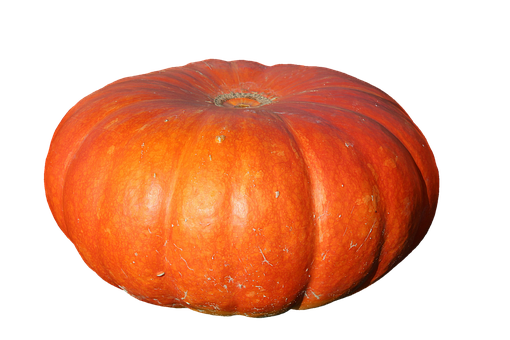 Pompoen Halloween 12KG BIO