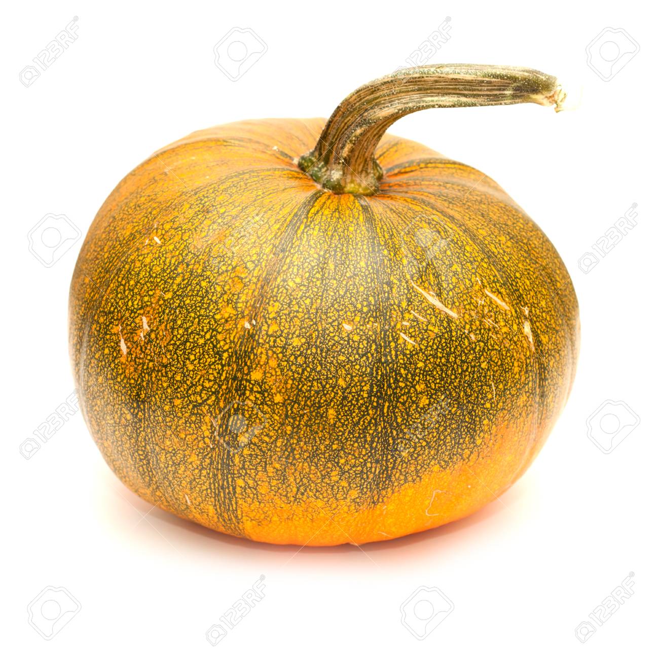 Pompoen tweekleurig oranje/groen BE 12KG BIO