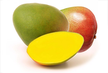 Mango Amélie 12ST BIO