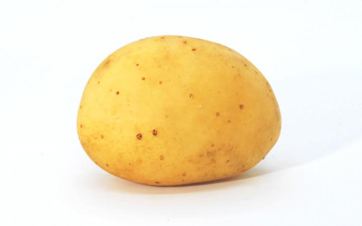 Aardappel Cameo Zacht BE 15KG BIO