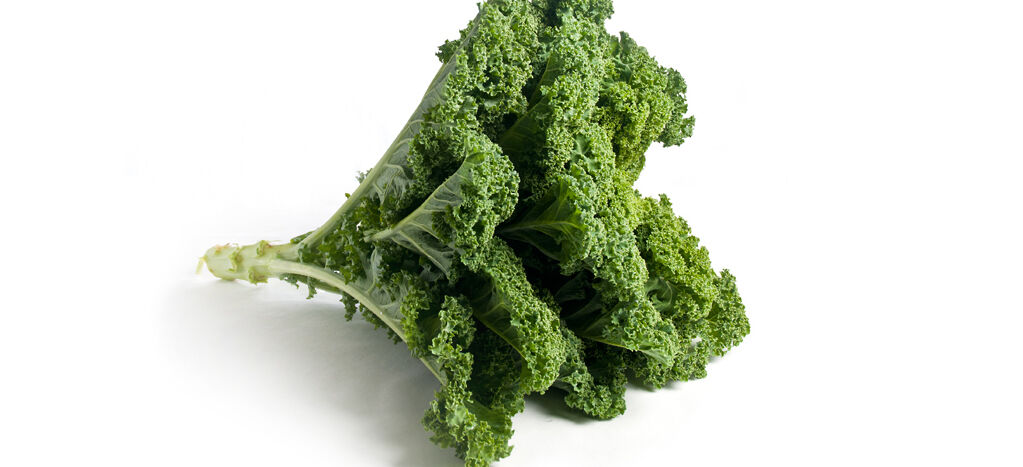 Boerekool BE 3KG BIO