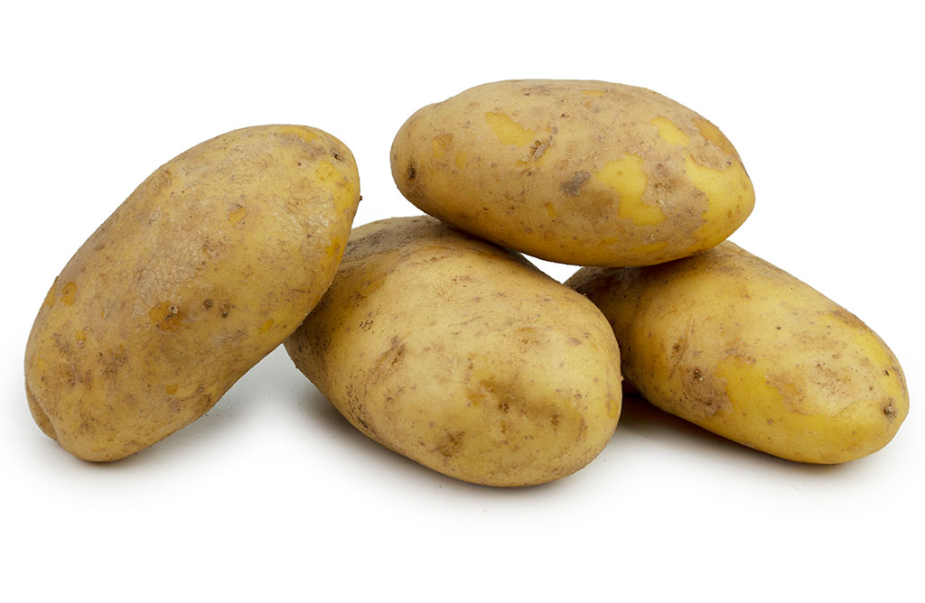 Aardappel Agria Zacht BE 15KG BIO