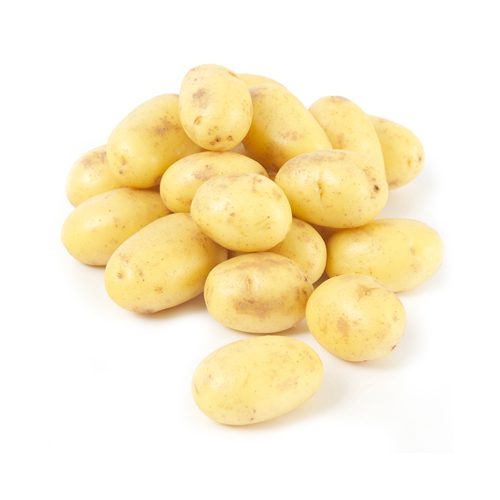 Aardappel Charlotte Vast BE 15KG BIO