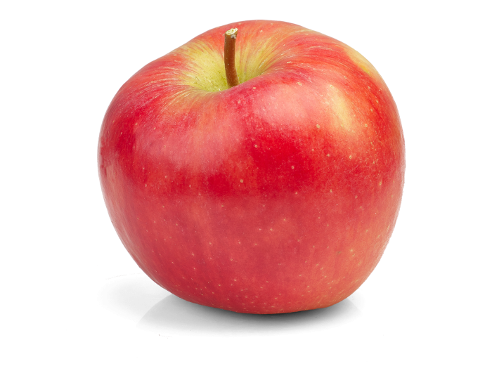 Appel Cox 70/80 BE 11KG BIO