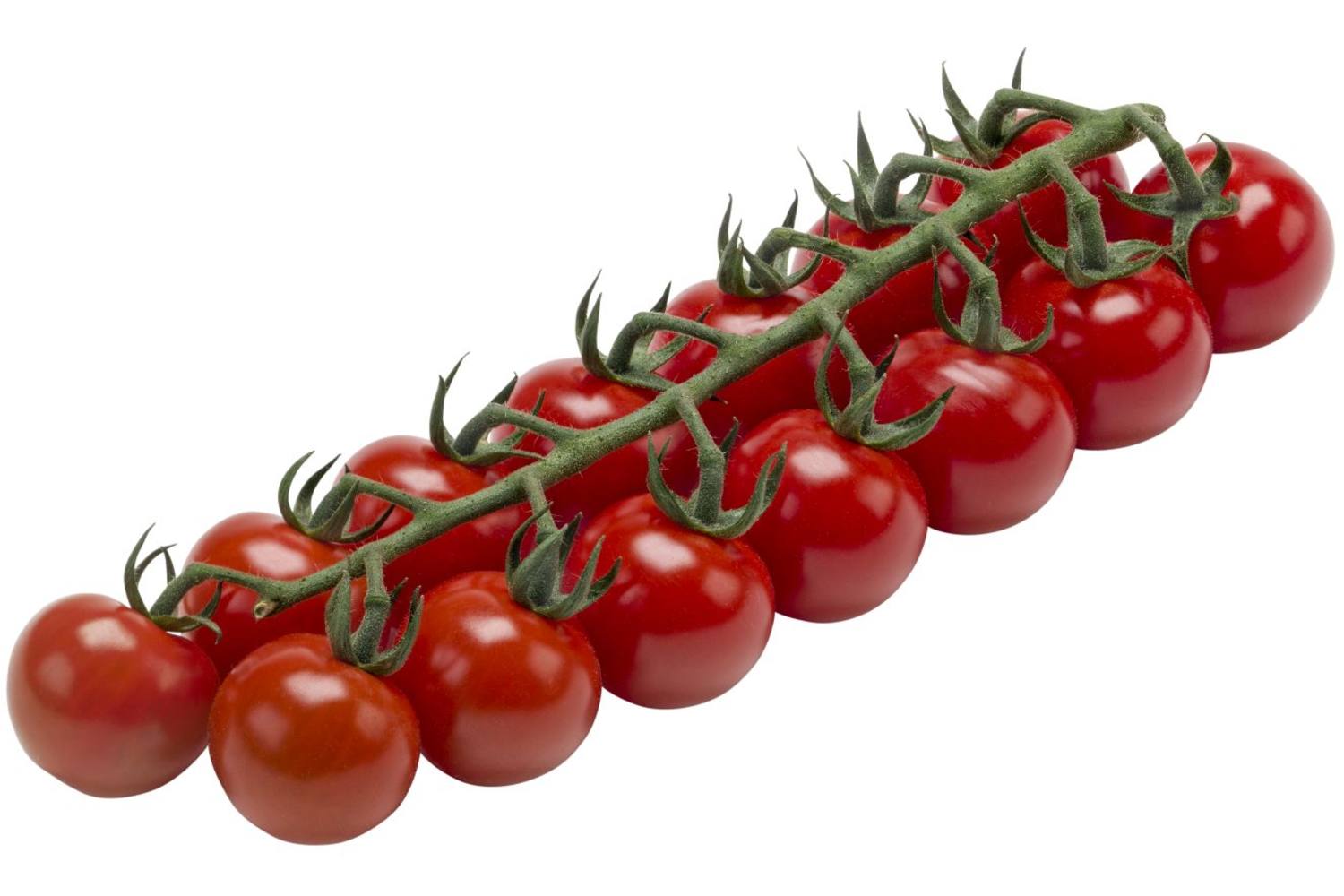 Tomaat Cherry Trostomaat BE 3KG BIO