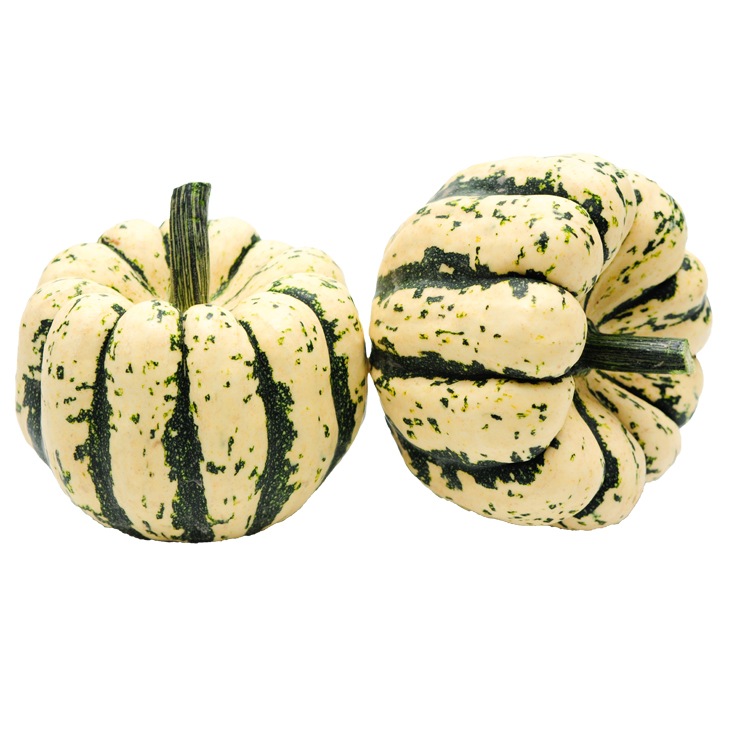 Pompoen Patisson BE 5KG CAT1 BIO
