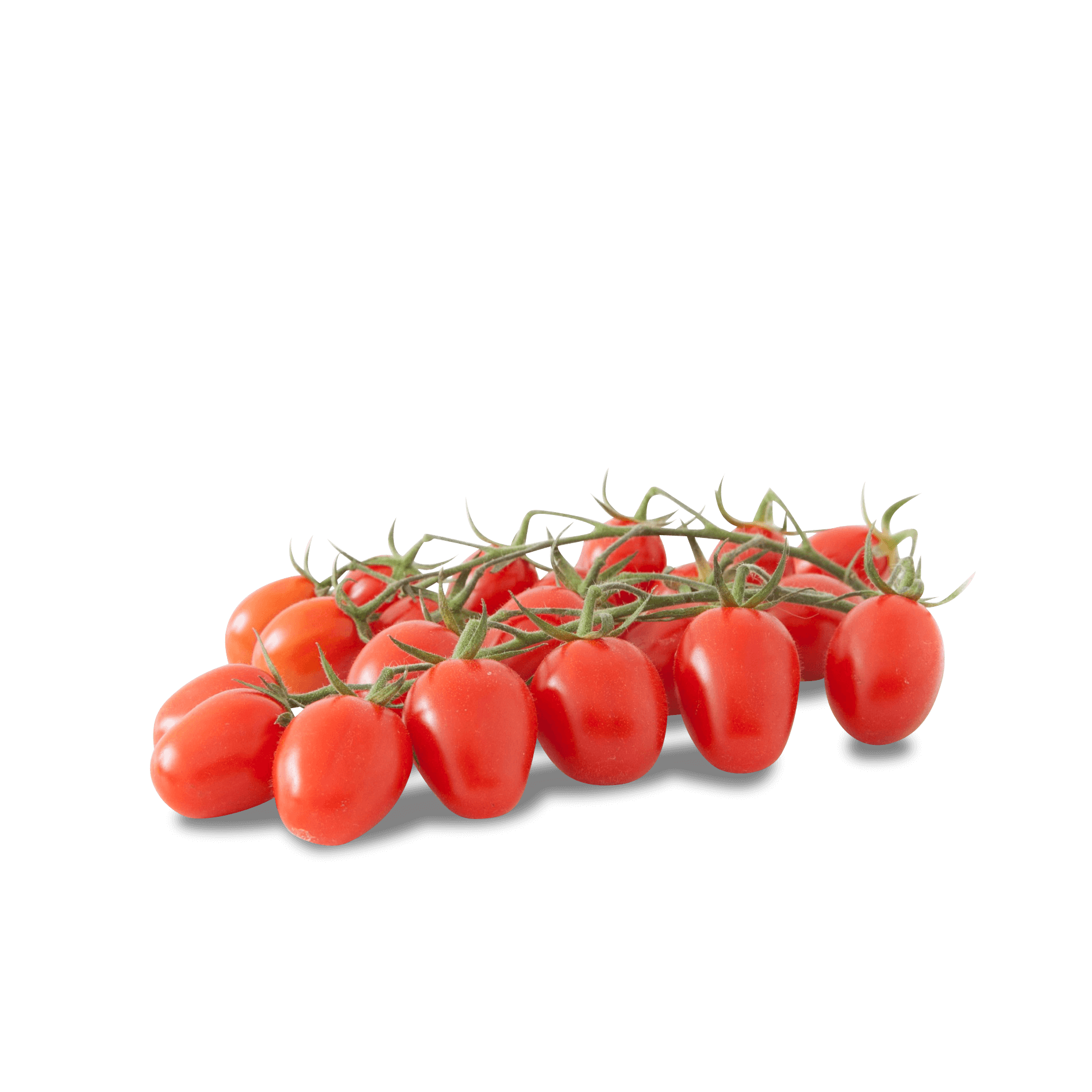 Tomaat Cherry los IT 3KG CAT1 BIO