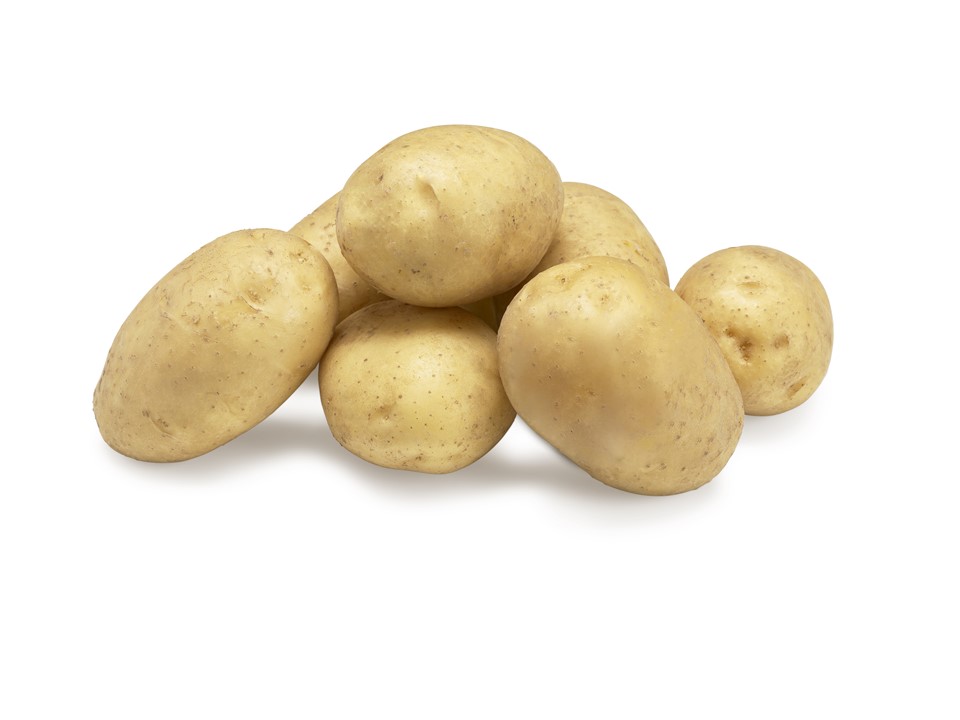 Pomme de terre Twinner Nouvelle! BE 15KG BIO