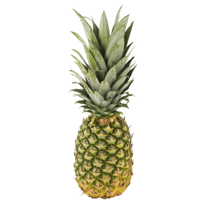 Ananas CI 1ST BIO