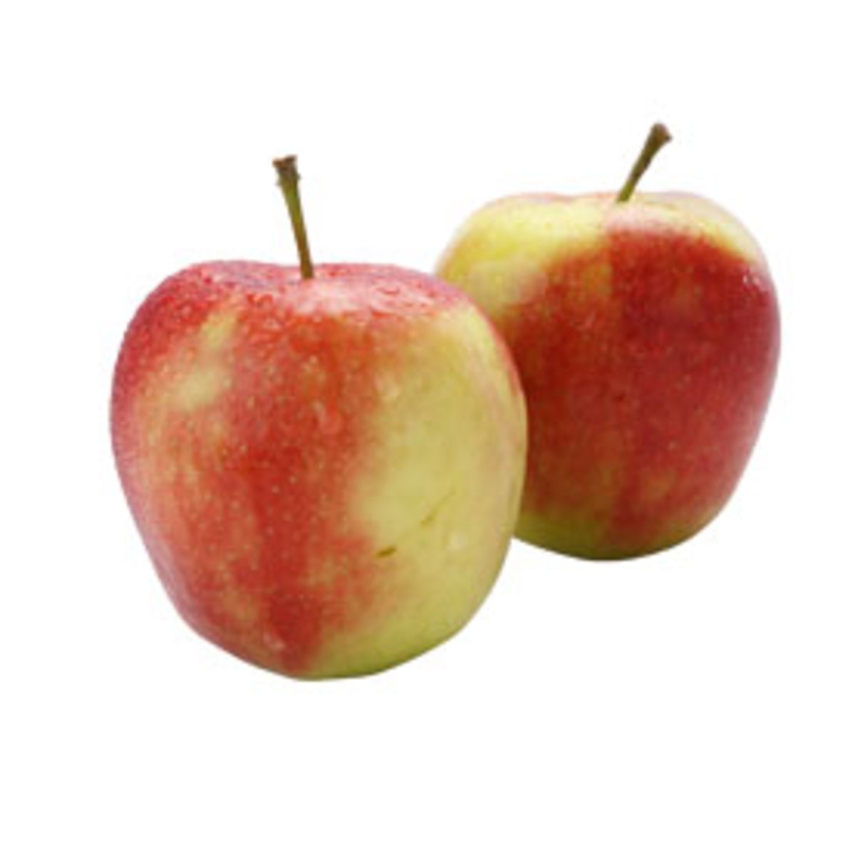 Pomme Elstar FR 13KG CAT1 BIO