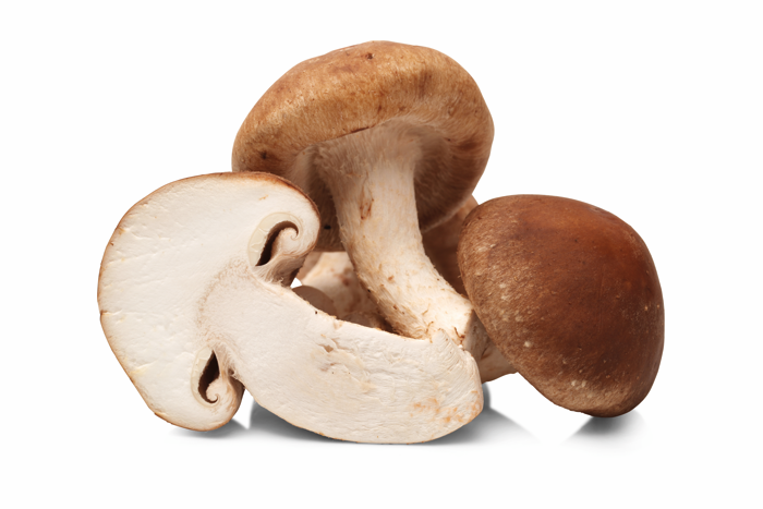 Champignons Shi-take 150gr BE 1ST BIO