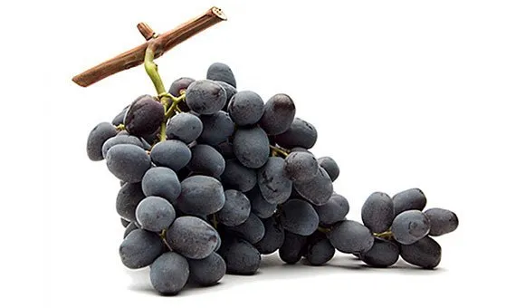 Raisin Bleu Prima FR 8KG BIO