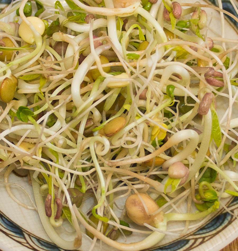 Kiem Gourmet BE 1ST BIO