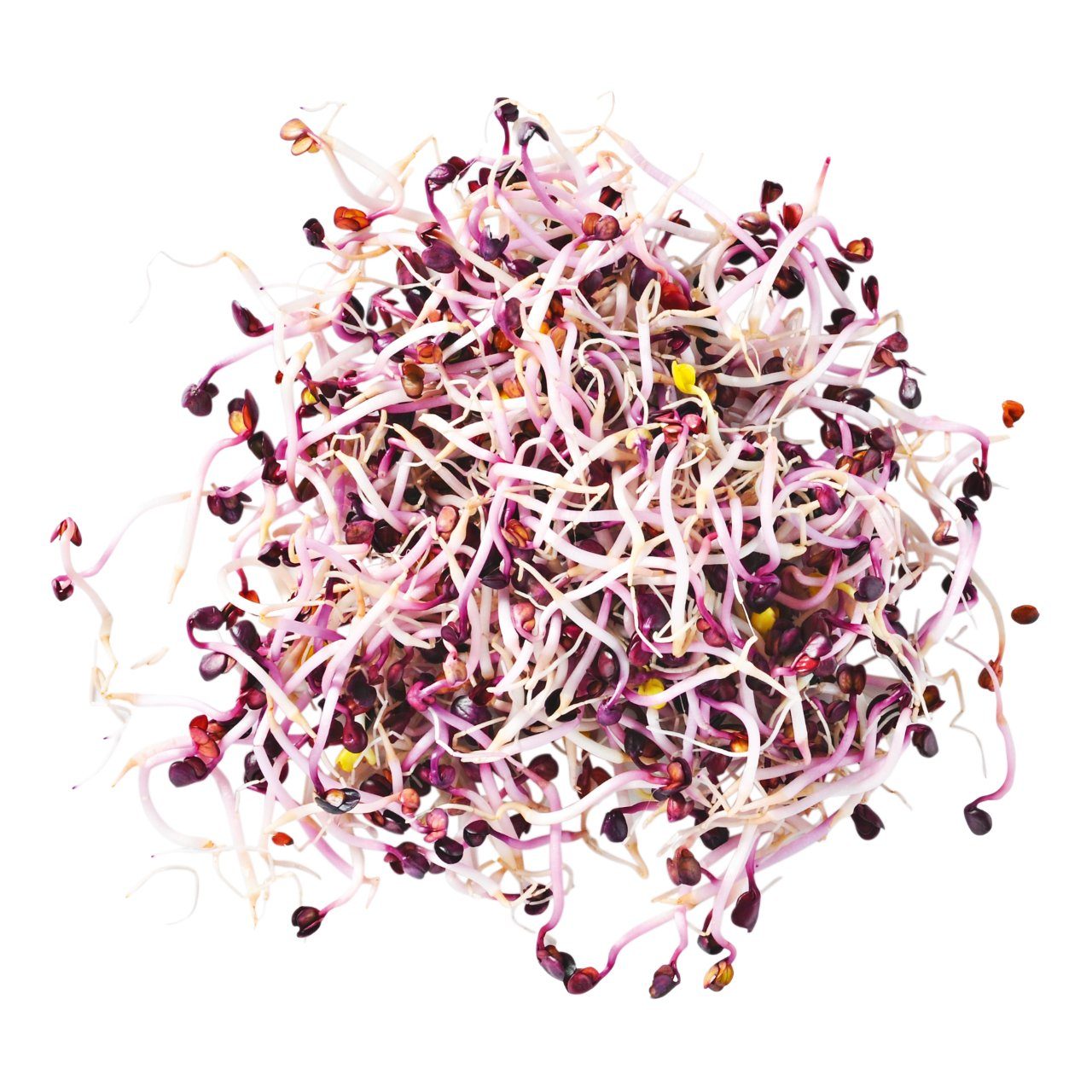 Kiem Radijs BE 1ST BIO