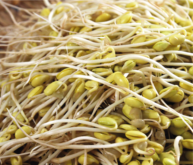 Kiem Soya 1kg BE 1ST BIO