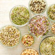 Kiem Trio Mix BE 1ST BIO