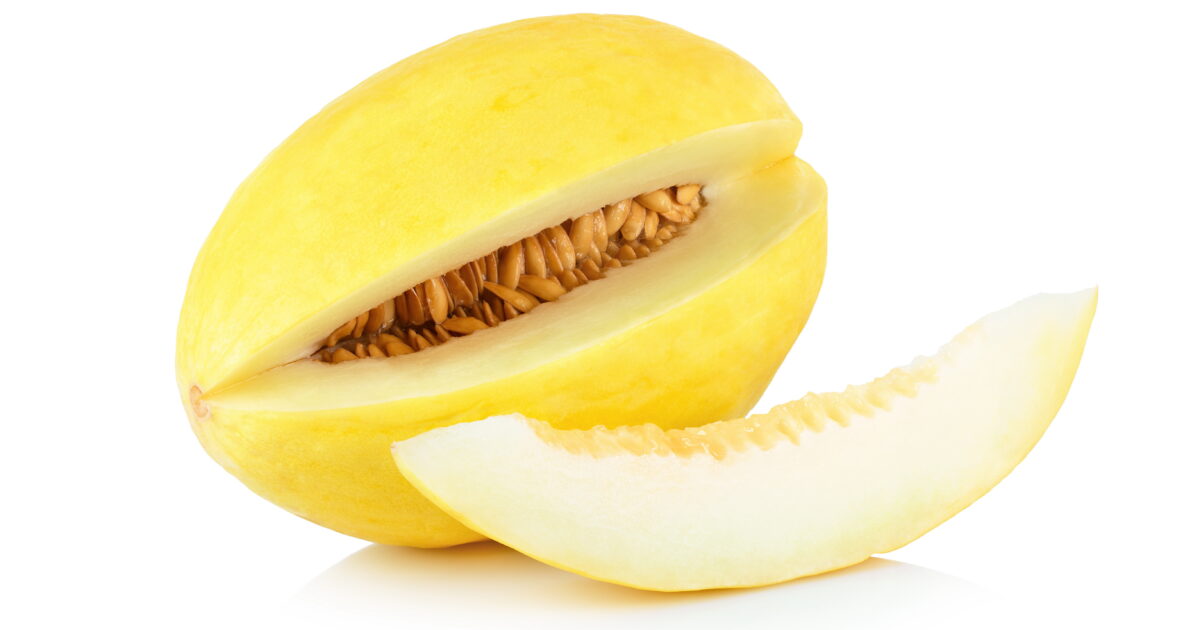 Melon Canari jaune ES 8ST BIO