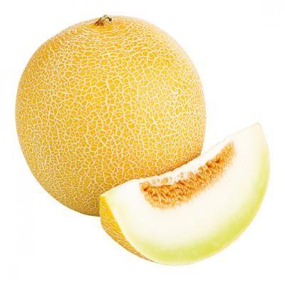 Melon Galia ES 6ST BIO