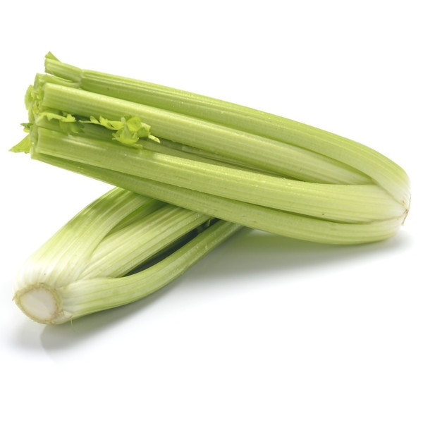 Céleri blanc long BE 10ST BIO