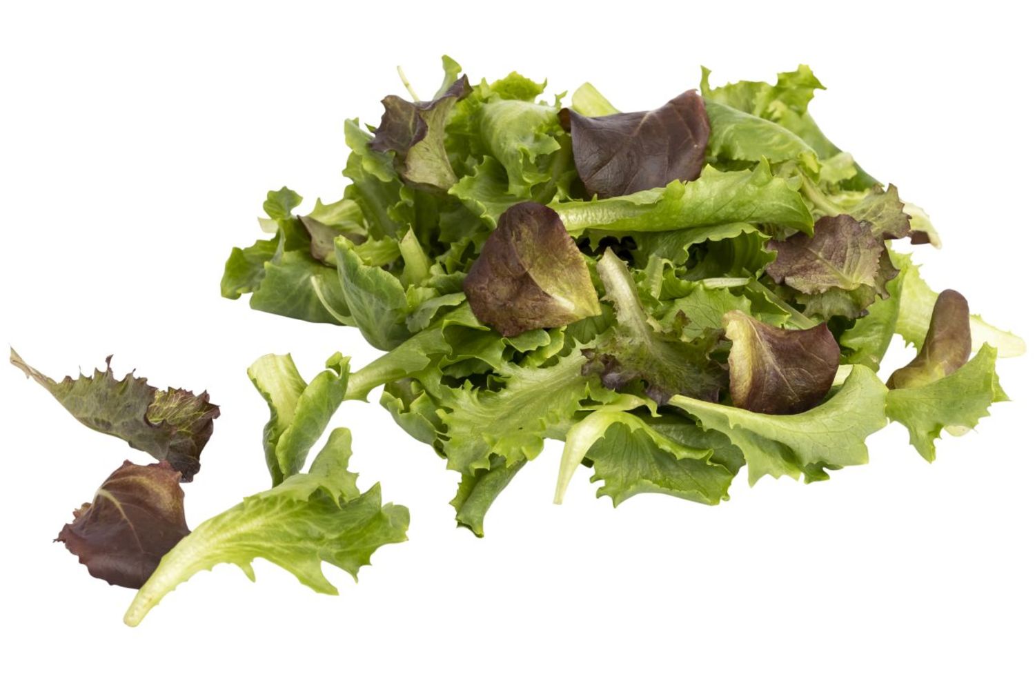 Salade Baby leaf BE 1KG CAT1 BIO
