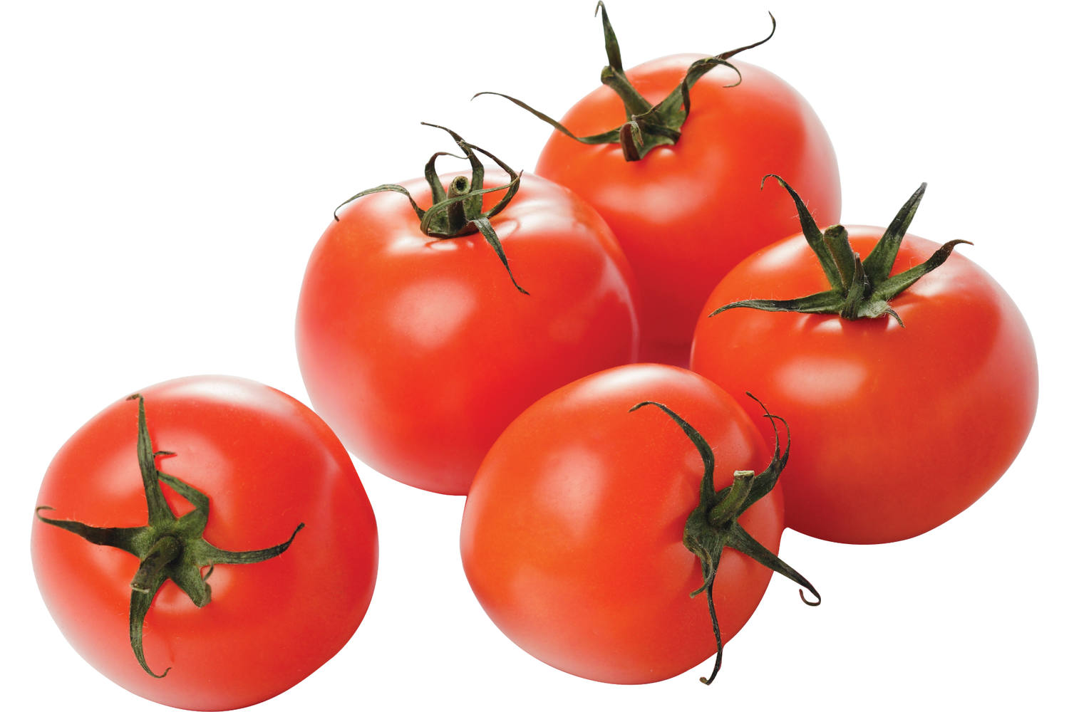 Tomate Ronde 57/67 BE 6KG BIO