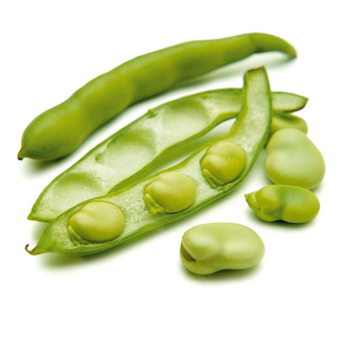Tuinboon BE 3KG BIO