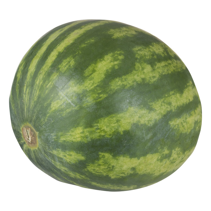Pasteq 1,8kg ES 8ST BIO